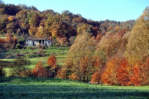 Parco Montevecchia