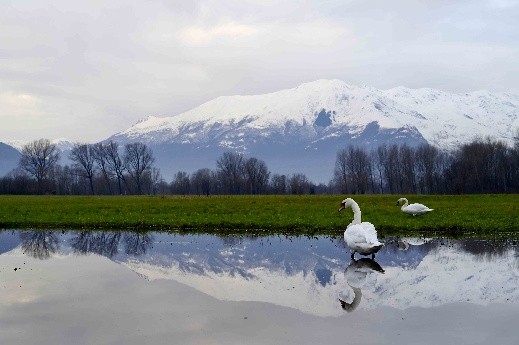 Lago di Mezzola