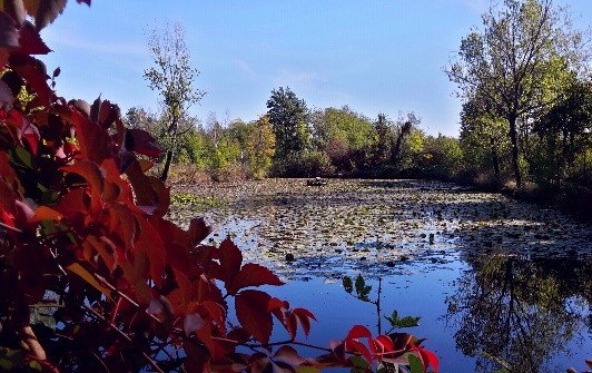 Parco delle Groane e della Brughiera Briantea