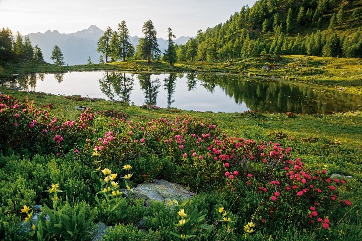 Parco delle Orobie Valtellinesi