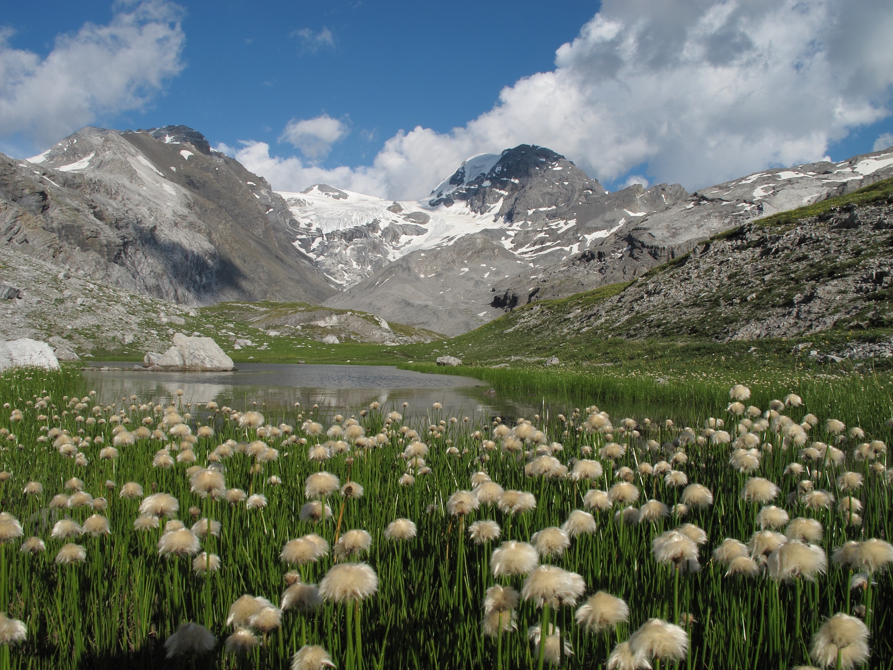 Parco dello Stelvio